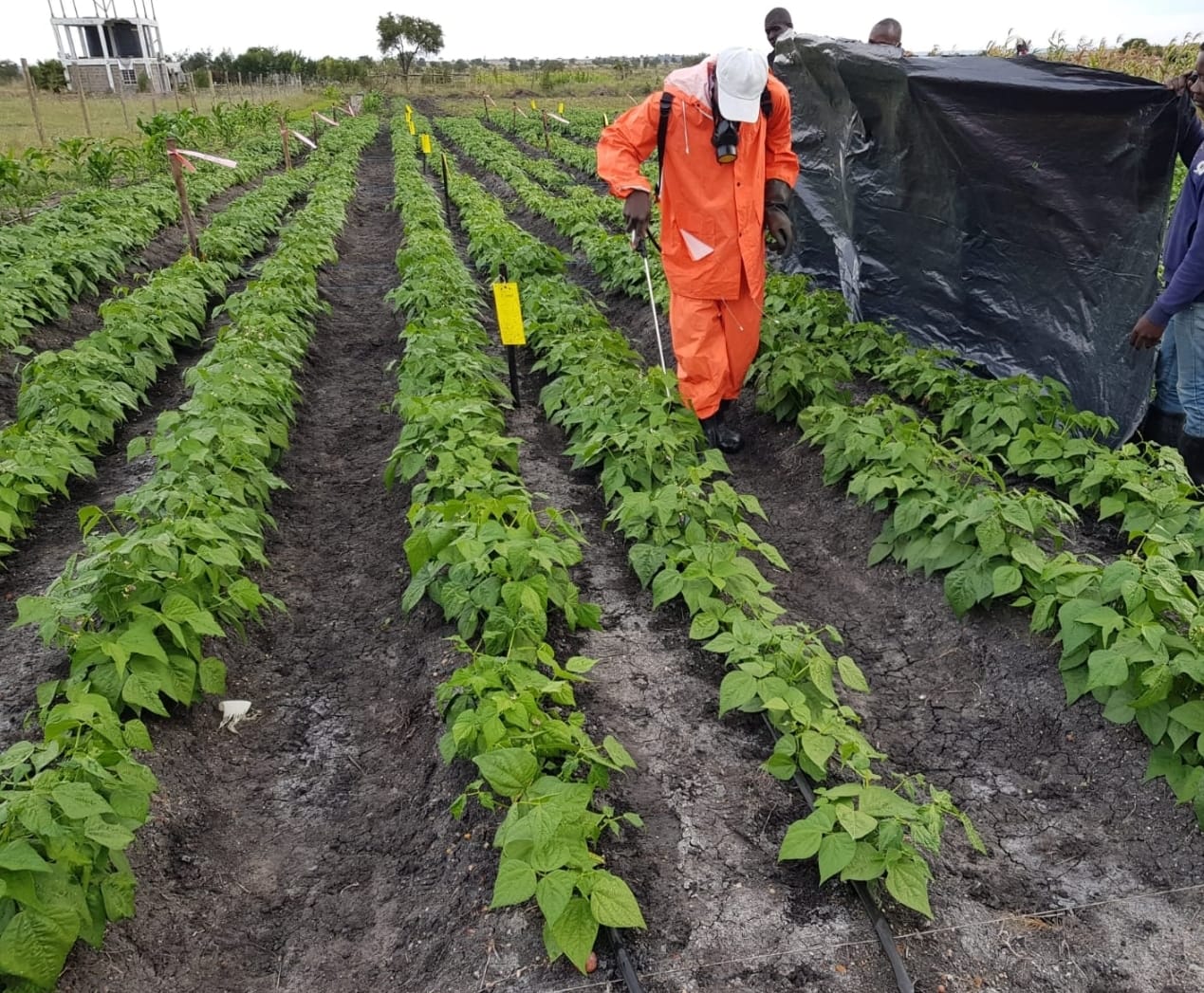 Now Get the Best Products